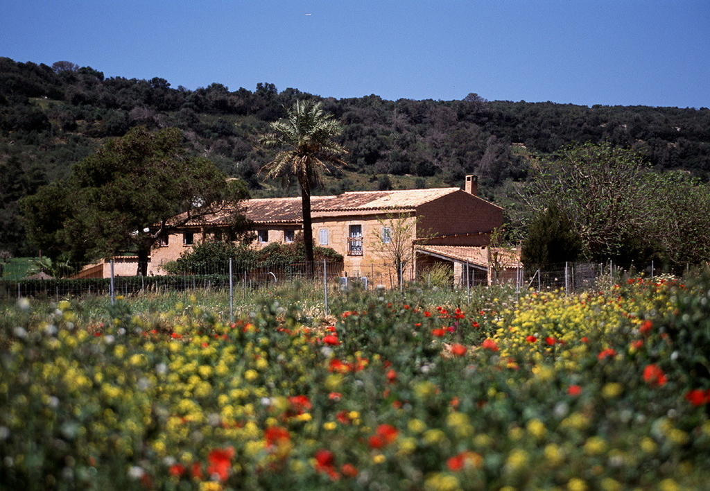 Landhaus Es Mayolet